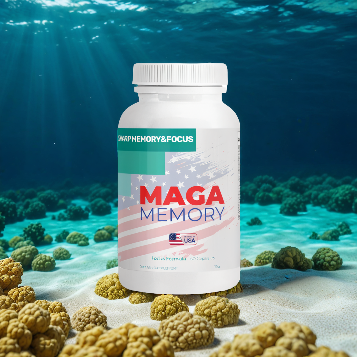 1X MAGA Memory