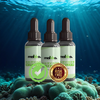 HairVigor 24 - 3 bottles