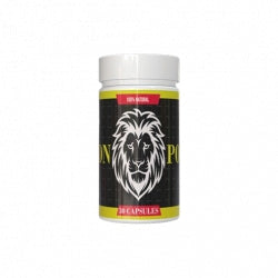 Lion Power