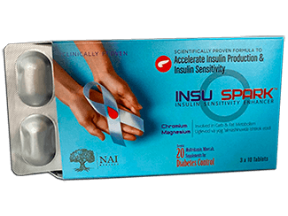 Insu Spark